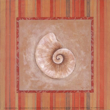 Framed Citrus Shell IV Print