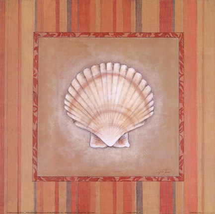 Framed Citrus Shell II Print