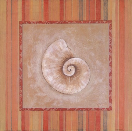 Framed Citrus Shell IV Print