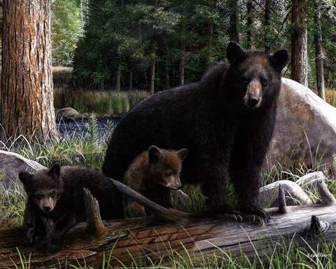 Framed New Discoveries Print