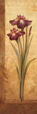 Framed Grandiflora I Print