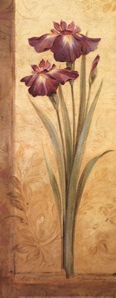 Framed Grandiflora I - mini Print