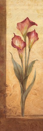 Framed Grandiflora III Print