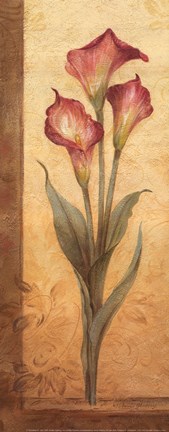 Framed Grandiflora III - mini Print