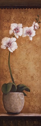 Framed Hanna's Orchids I Print