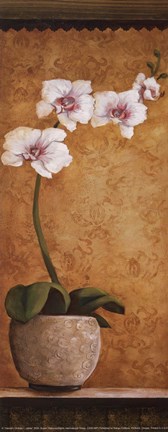 Framed Hanna's Orchids I - petite Print