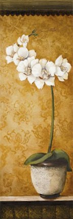 Framed Hanna's Orchids II Print
