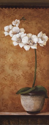 Framed Hanna's Orchids II - mini Print