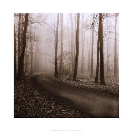 Framed Recollection Print