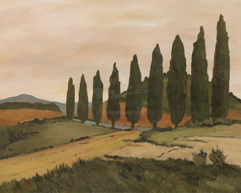 Framed Shady Tuscan Road Print