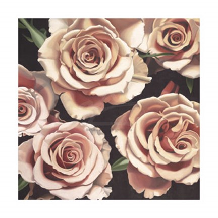 Framed Roses Print