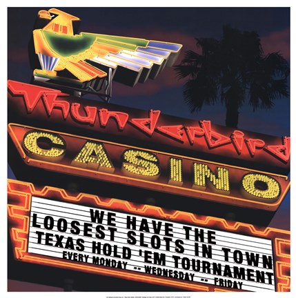 Framed Thunderbird Print