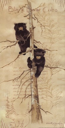 Framed Black Bear Cubs Print