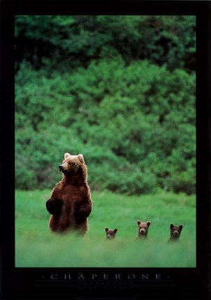 Framed Chaperone Print