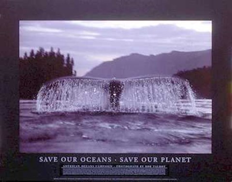 Framed Save Our Oceans, Save Our Planet Print