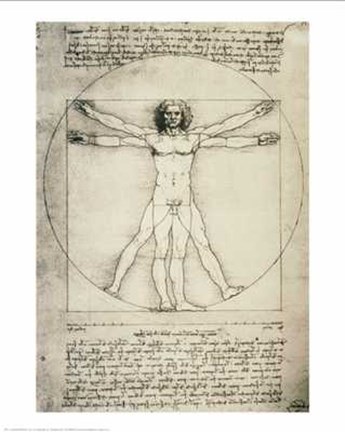 Framed Human Proportions-Vitruvian Man Print