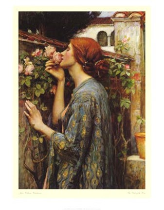 Framed Soul of the Rose Print