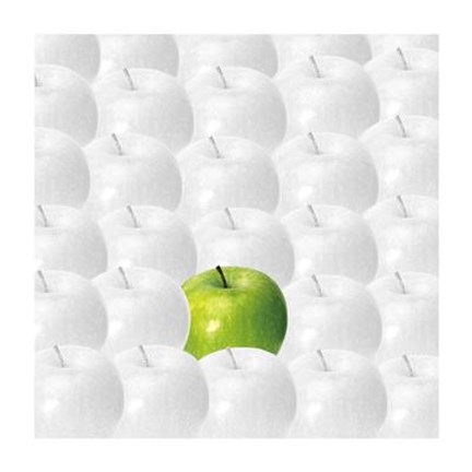 Framed Apples Print
