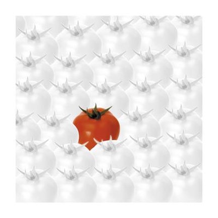 Framed Tomatoes Print
