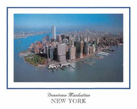 Framed Downtown Manhattan Print