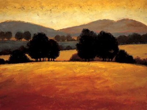 Framed Santa Ynez II Print