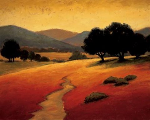 Framed Santa Ynez I Print