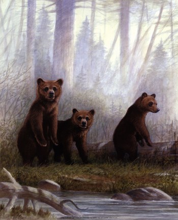 Framed Grizzly Cubs Print