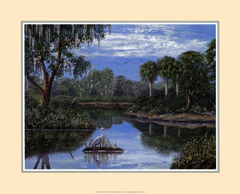 Framed Florida Wetlands Print
