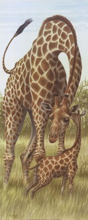 Framed Mama Giraffe With Baby Print