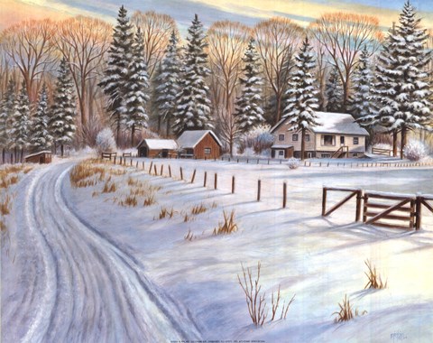 Framed Winter Scene IV Print