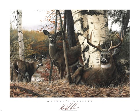 Framed Autumn&#39;s Majesty Print