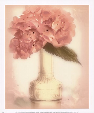 Framed Lovely Hydrangea Print