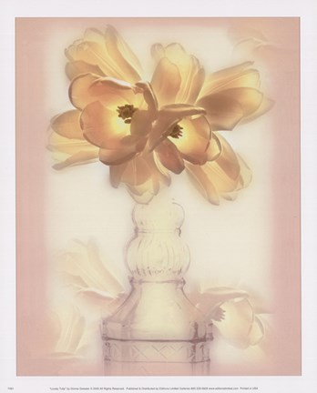 Framed Lovely Tulip Print