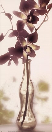 Framed Charming Orchid Print