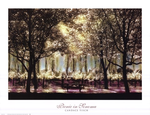 Framed Picnic In Sonoma Print