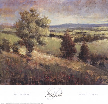 Framed View From The Hill Print