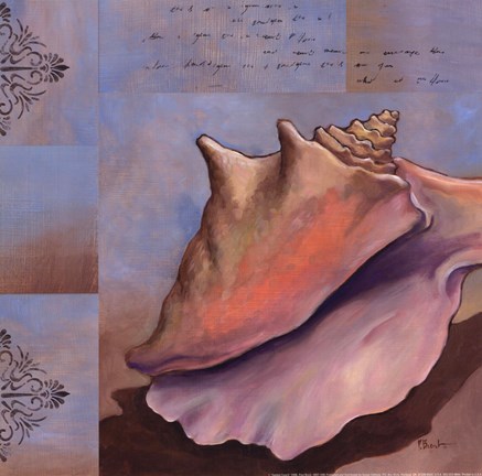 Framed Sanibel Conch Print
