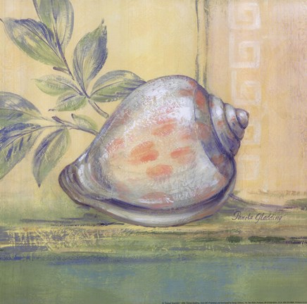 Framed Tranquil Seashells I Print
