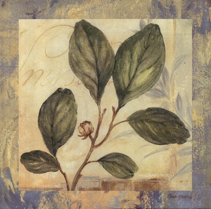 Framed Leaf Botanicals I Print