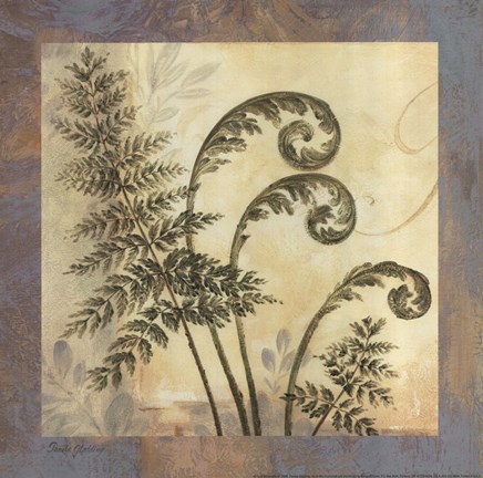 Framed Leaf Botanicals IV Print