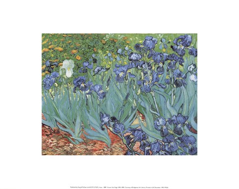 Framed Irises in the Garden, Saint-Remy, c.1889 Print