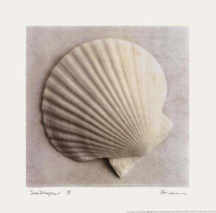Framed Sea Shapes II Print