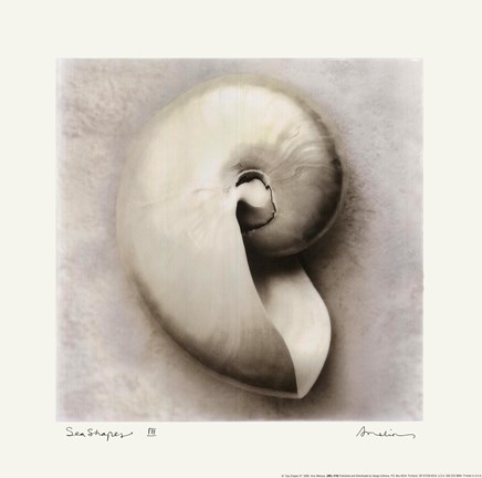 Framed Sea Shapes III Print