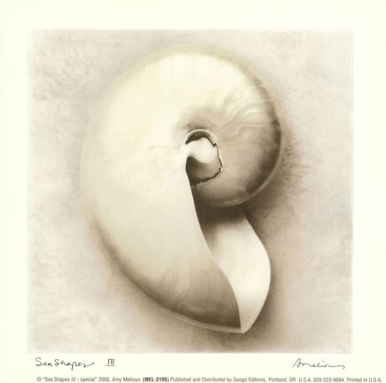 Framed Sea Shapes III - Special Print