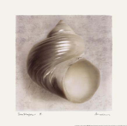 Framed Sea Shapes IV Print