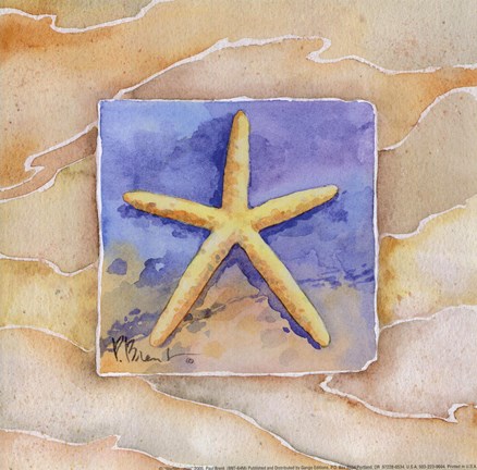 Framed Starfish - Mini Print