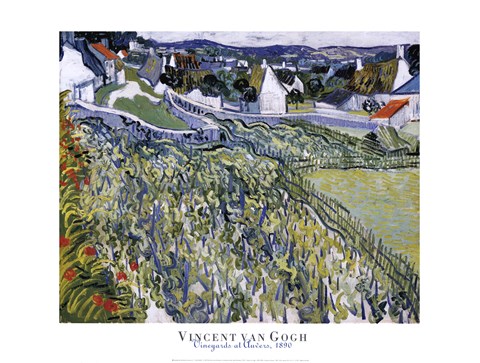 Framed Vineyards at Auvers, c.1890 Print