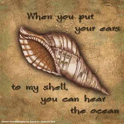 Framed Tuscan ShellsWhen You Put Your Ears Print