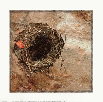 Framed Nest Red Leaf Print