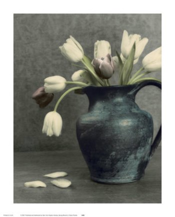 Framed Spring Blooms II Print